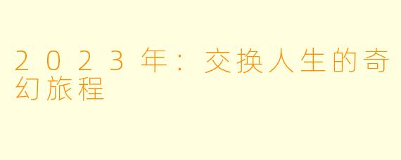 2023年：交换人生的奇幻旅程