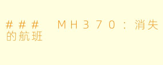 ### MH370：消失的航班