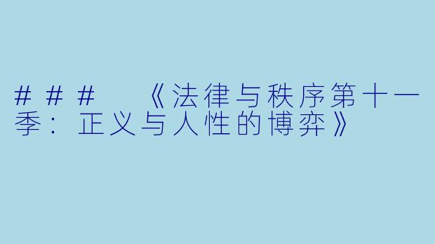 ### 《法律与秩序第十一季:正义与人性的博弈》