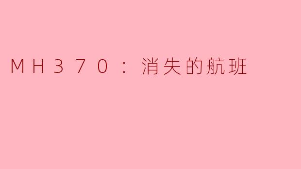 ### MH370：消失的航班