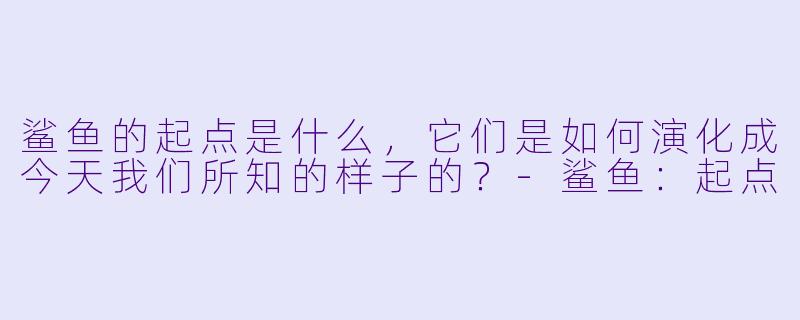鲨鱼的起点是什么,它们是如何演化成今天我们所知的样子的?