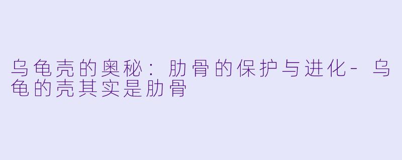 乌龟壳的奥秘：肋骨的保护与进化-乌龟的壳其实是肋骨