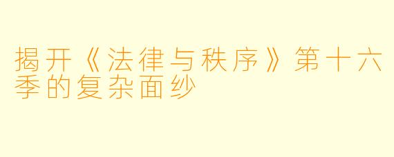 揭开《法律与秩序》第十六季的复杂面纱