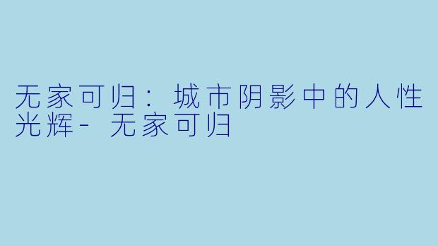 无家可归：城市阴影中的人性光辉-无家可归