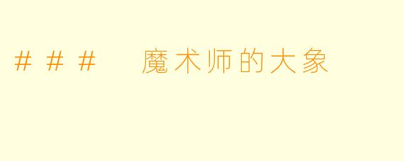 ### 魔术师的大象