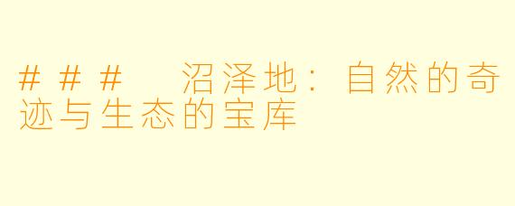 ### 沼泽地：自然的奇迹与生态的宝库