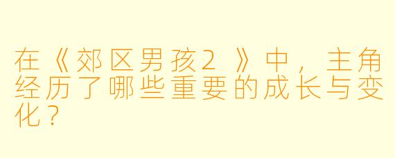 在《郊区男孩2》中，主角经历了哪些重要的成长与变化？