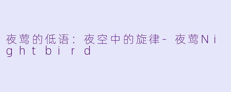 夜莺的低语：夜空中的旋律-夜莺Nightbird