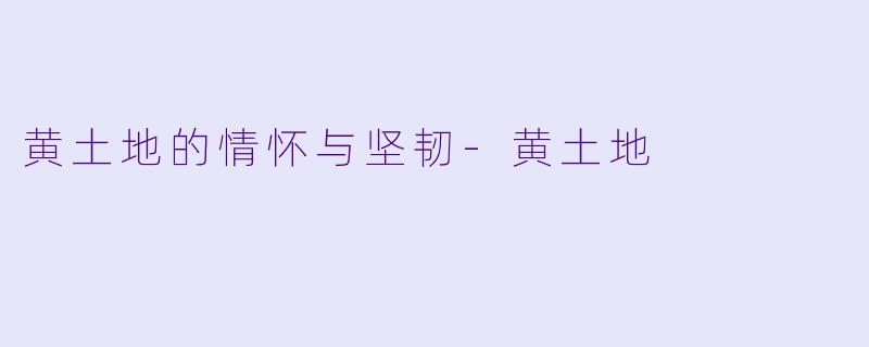 黄土地的情怀与坚韧-黄土地