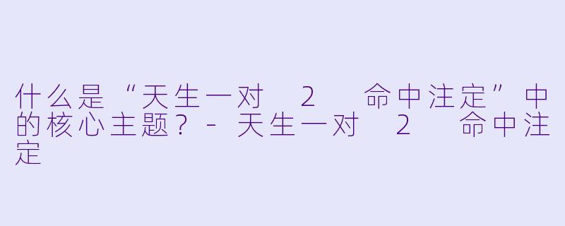 什么是“天生一对 2 命中注定”中的核心主题？