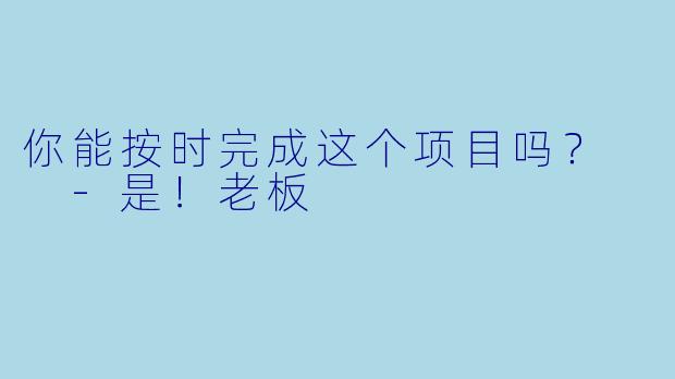你能按时完成这个项目吗？  