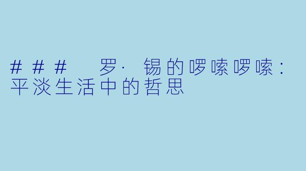 ### 罗·锡的啰嗦啰嗦：平淡生活中的哲思