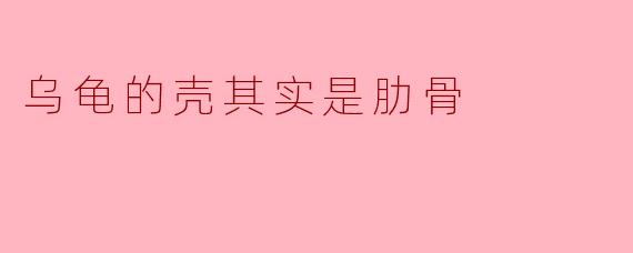 乌龟的壳其实是肋骨