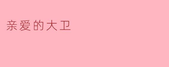 ### 亲爱的大卫