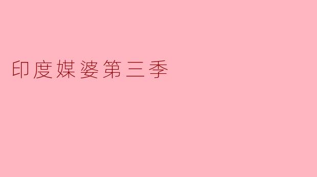 印度媒婆第三季