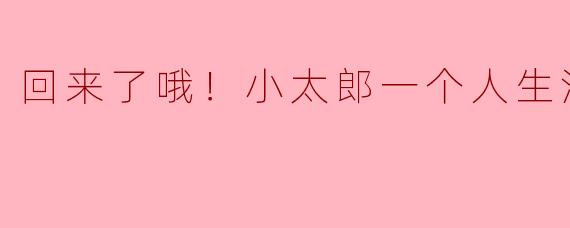 回来了哦！小太郎一个人生活