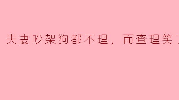 夫妻吵架狗都不理，而查理笑了