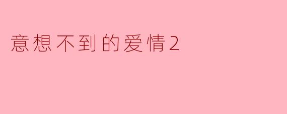 意想不到的爱情2