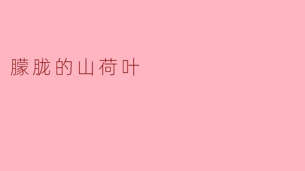 朦胧的山荷叶