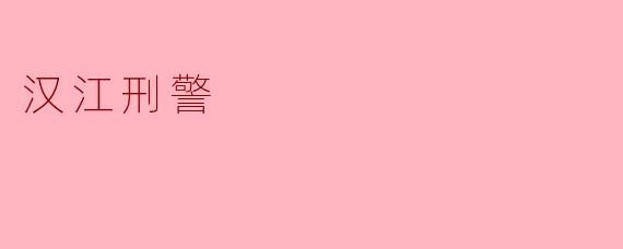 汉江刑警