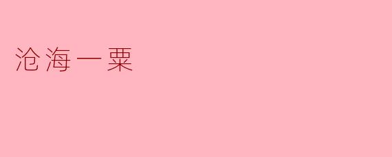  “沧海一粟”这个成语的意思是什么？