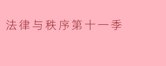 法律与秩序第十一季
