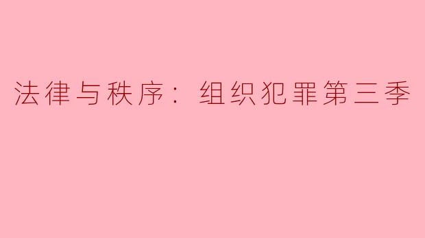 法律与秩序：组织犯罪第三季