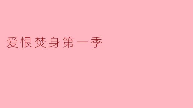 爱恨焚身第一季