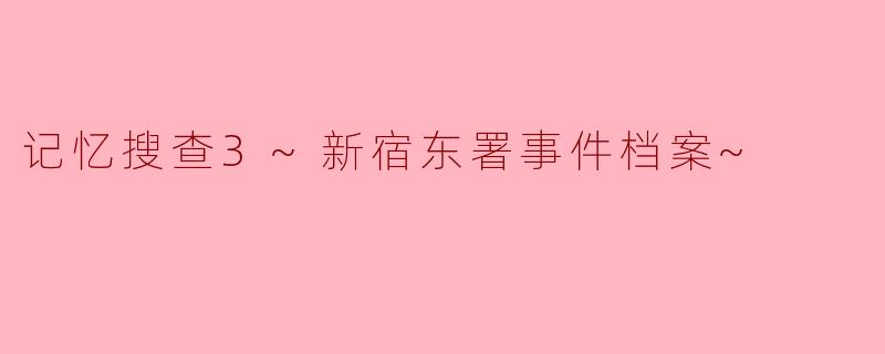 记忆搜查3~新宿东署事件档案~