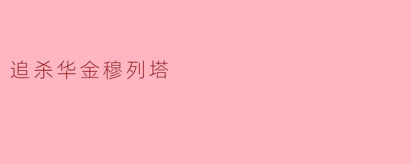 追杀华金穆列塔