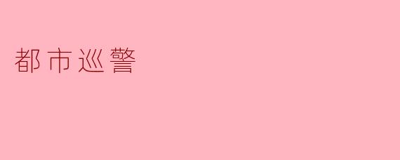 都市巡警在日常工作中主要负责哪些任务？