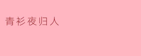 青衫夜归人