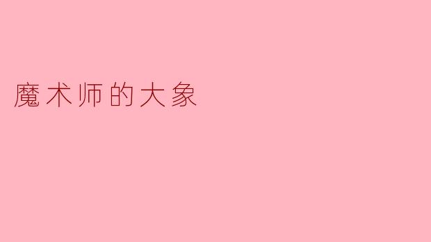 魔术师的大象