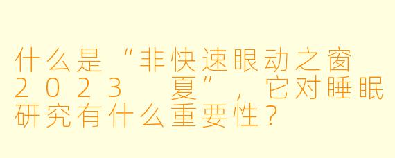 什么是“非快速眼动之窗 2023 夏”,它对睡眠研究有什么重要性?