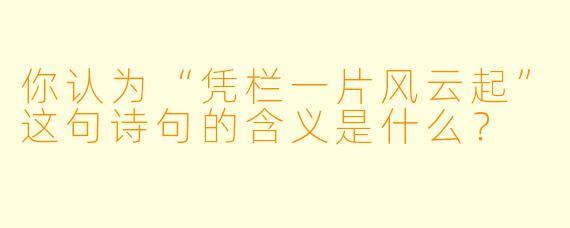 你认为“凭栏一片风云起”这句诗句的含义是什么？