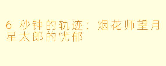 6秒钟的轨迹：烟花师望月星太郎的忧郁