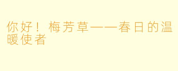 你好！梅芳草——春日的温暖使者