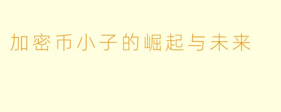 加密币小子的崛起与未来