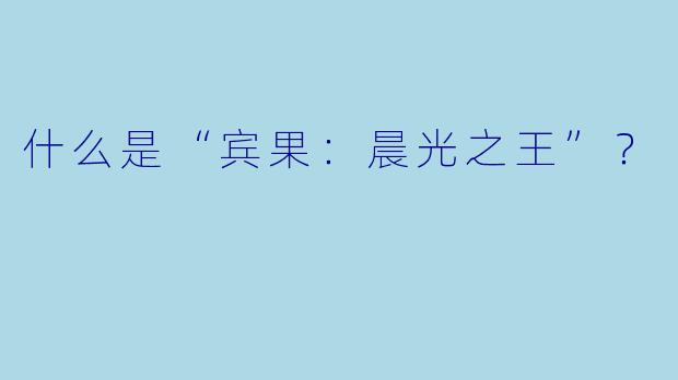 什么是“宾果：晨光之王”？