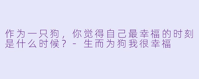 作为一只狗，你觉得自己最幸福的时刻是什么时候？