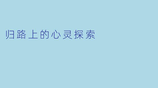 归路上的心灵探索