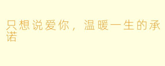 只想说爱你，温暖一生的承诺