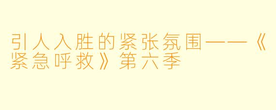 引人入胜的紧张氛围——《紧急呼救》第六季