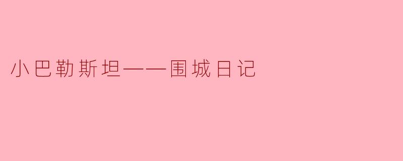 小巴勒斯坦——围城日记