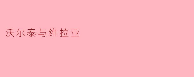 沃尔泰与维拉亚:理性与信仰的碰撞