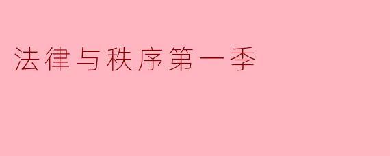 法律与秩序第一季