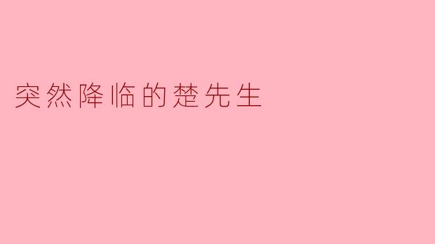 突然降临的楚先生