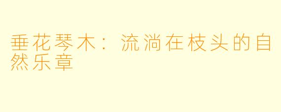 垂花琴木:流淌在枝头的自然乐章