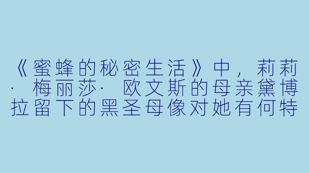 《蜜蜂的秘密生活》中，莉莉·梅丽莎·欧文斯的母亲黛博拉留下的黑圣母像对她有何特殊意义？