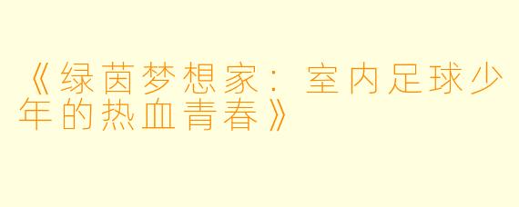 《绿茵梦想家：室内足球少年的热血青春》